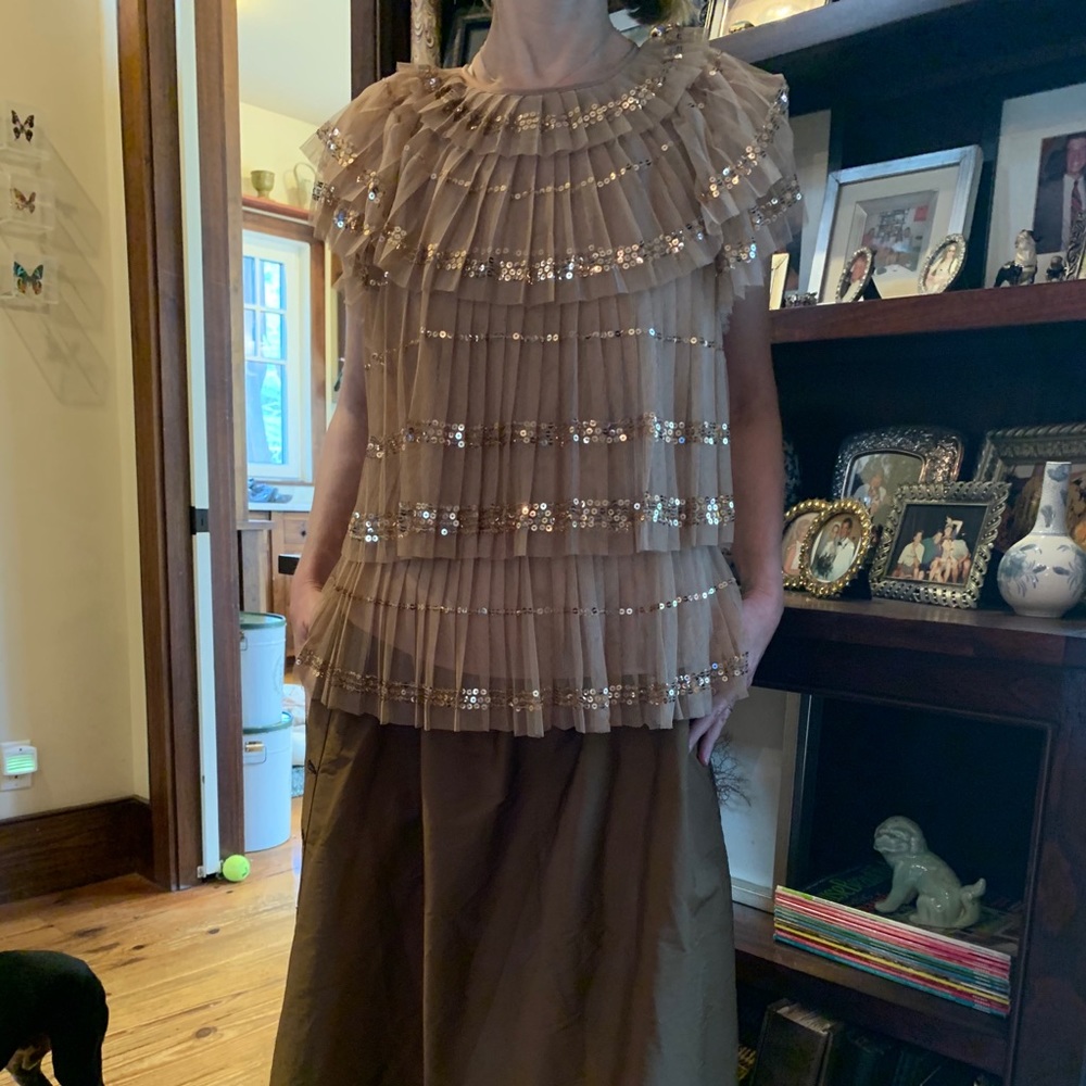 J Crew Collection sequin ruffle Dakota blouse
